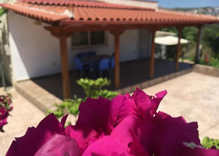 Guesthouse Nedin